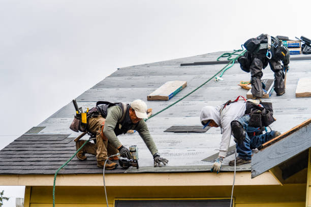 Professional Roofing technician working in Freedom, PA